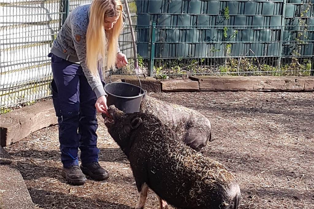 Die Tierpflegerinnen müssen derzeit ohne Hilfe der Ehrenamtlichen die Tiere versorgen.