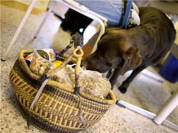 Die Tiertafeln versorgen vor allem Tiere von Hartz-IV-Empfängern, allein erziehenden Müttern und Rentnern. (Bild: dpa)