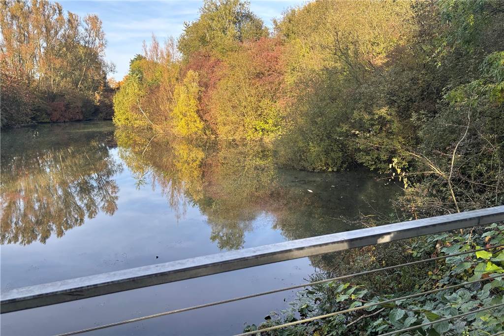 Blick auf den Teich in Lünen-Horstmar, in dem zuletzt viele tote Fische gesichtet wurden.