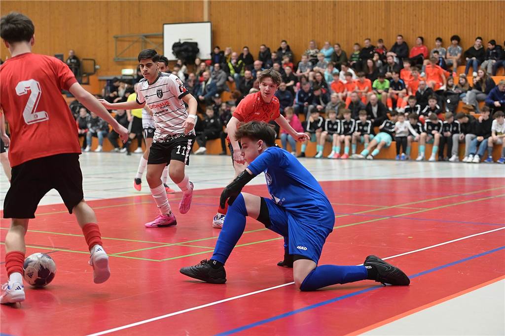 Die U15-Jungs des VfB Waltrop haben ihren 2024 gewonnenen Kreismeistertitel in der Halle souverän verteidigt. Dass die Regionalliga-Mannschaft vom Hirschkampstadion das Finale erreichen würde, war keine Überraschung. Ebenso wenig, dass der Gegner im Endspiel Gastgeber Spvgg. Erkenschwick hieß. Die beiden klassenhöchsten Teams marschierten mühelos durch die Gruppenspiele und das Halbfinale. Im Endspiel zeigten die Waltroper den „Schwickern“ mit 5:0 die Grenzen auf. Im kleinen Finale zuvor besiegte 1. SC BW Wulfen den TuS Haltern und sicherte sich Platz drei.