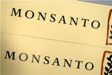 Die Übernahme des Saatgut- und Agrarchemie-Herstellers Monsanto durch Bayer ist genehmigt. Foto: Franz-Peter Tschauner
