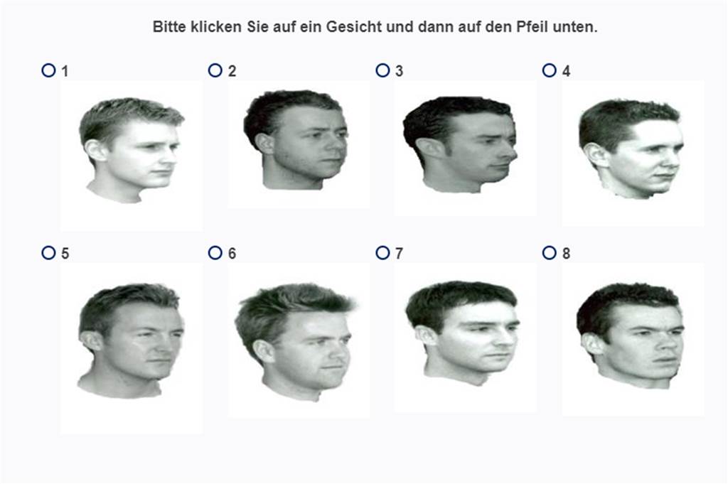 Die Universität von Greenwich in London hat einen Test entwickelt, mit dem jeder seine Fähigkeiten als Recognizer prüfen kann.