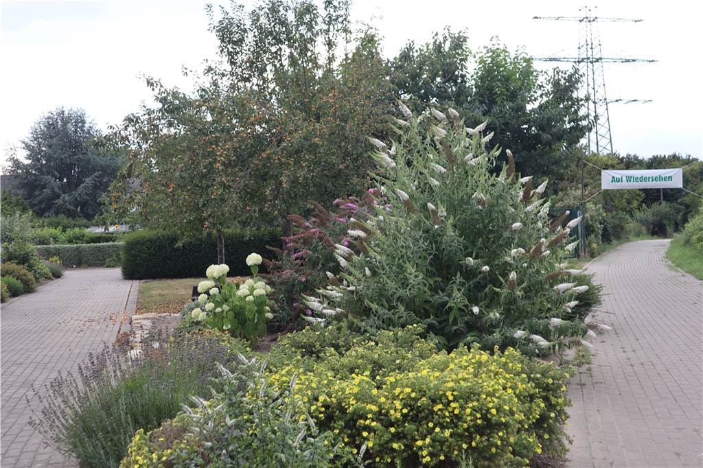 Jubiläum in kleinem Paradies hinter der Lärmschutzwand - mit Bienenvölkern und Yucca-Staude Die Vegetation in der Gartenanlage „Am alten Flughafen" kann sich sehen lassen.