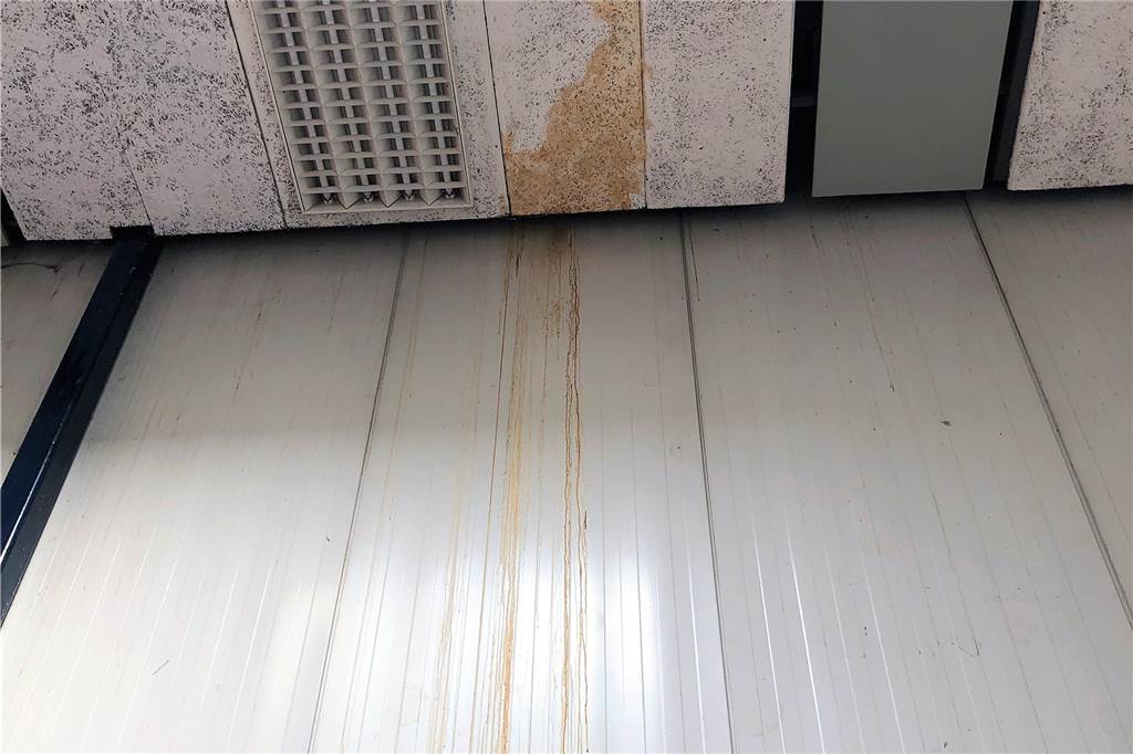 Trotz Reinigung noch dreckig: Jetzt fordert ein Trainer eine Ersatz-Halle Die verfärbten Decken- und Wandplatten werden später ausgetauscht.