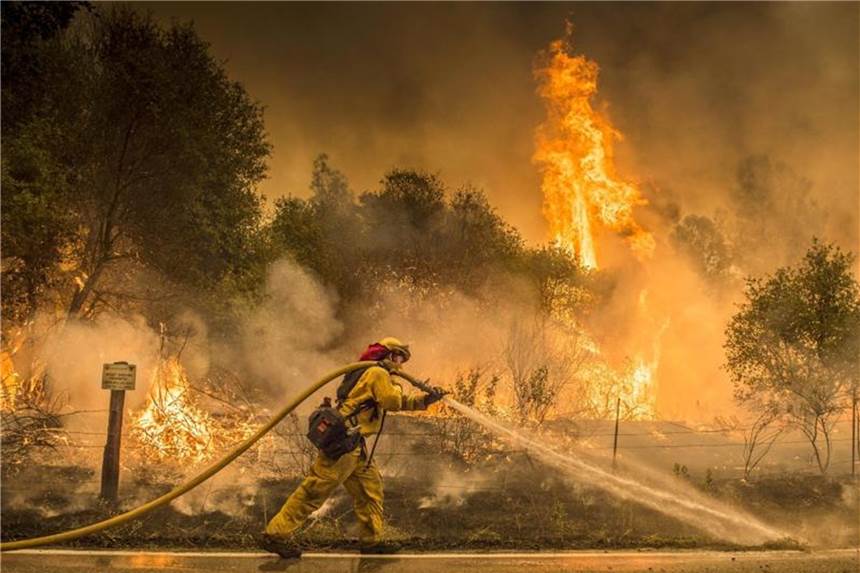 Tote bei Waldbränden im US-Staat Kalifornien Die verheerenden Waldbrände in Kalifornien haben mindestens 500 Häuser zerstört. Foto: Hector Amezcua/The Sacramento Bee/AP