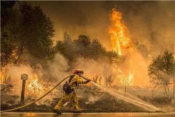 Die verheerenden Waldbrände in Kalifornien haben mindestens 500 Häuser zerstört. Foto: Hector Amezcua/The Sacramento Bee/AP