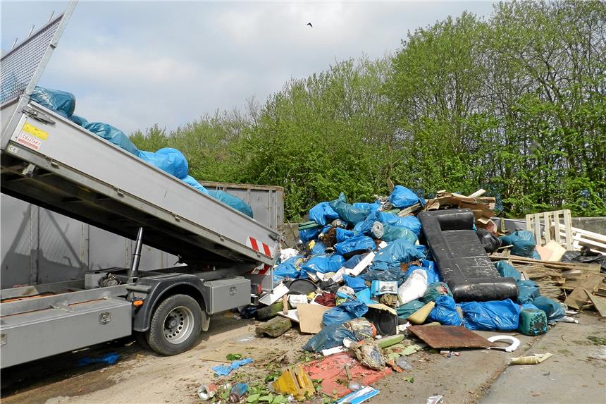 Wilder Müll kostet Millionen - und jeder zahlt dafür Die vielen freiwilligen Helfer sammeln bei der Frühjahrs-Aktion „Sauberes Haltern“ große Mengen Abfall auf dem Stadtgebiet.