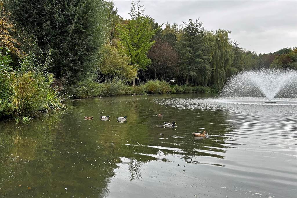 See im Stadtpark: Woher kommt der schmierige Film auf dem Wasser? Die vier Fontänen wandern bald ins Winterquartier.