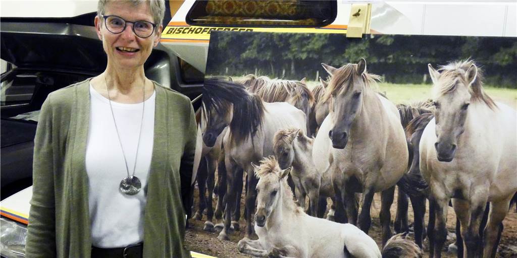Die Vredenerin Dorothe Höing liebt es, die Natur und Tiere der Region (im Bild: Wildpferde im Merfelder Bruch) mit ihrer Kamera festzuhalten. Jetzt zeigt sie die Ergebnisse ihrer fotografischen Wanderungen im Stadtlohner Siku-Museum. 