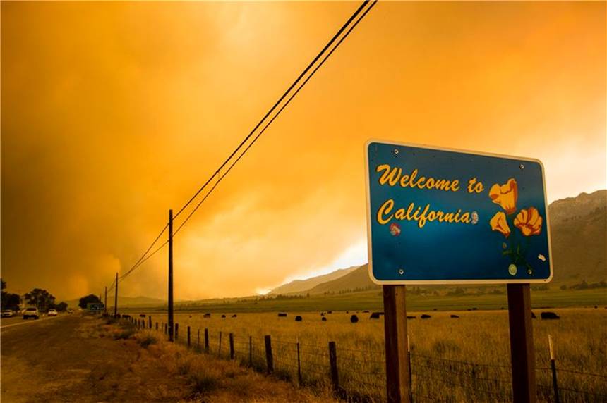 Wetterextreme plagen die USA Die Waldbrandsaison im Westen Nordamerikas wird voraussichtlich noch Monate dauern, und schon jetzt wüten die Flammen auf ungewöhnlich großen Flächen.