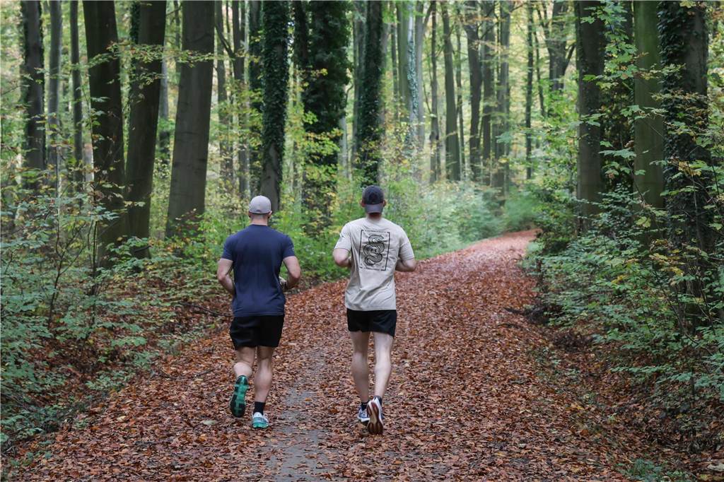 Zwei Jogger laufen nebeneinander durch den herbstlichen Wald.