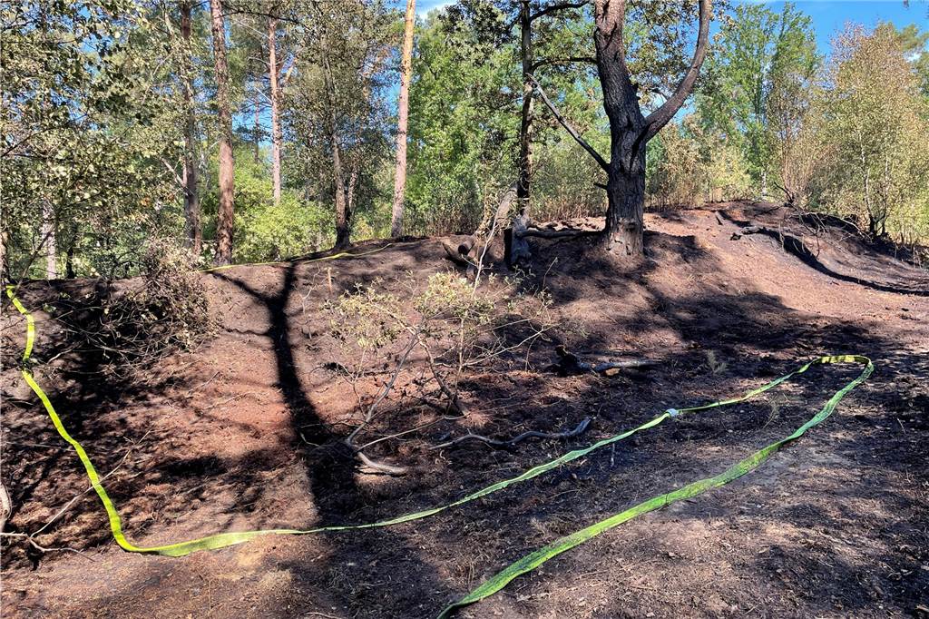 Großeinsatz: Über 10.000 Quadratmeter Wald standen am Silbersee 3 in Flammen Die Wasserversorgung hatte die Feuerwehr über etwa einen Kilometer Schlauchleitung sichergestellt.