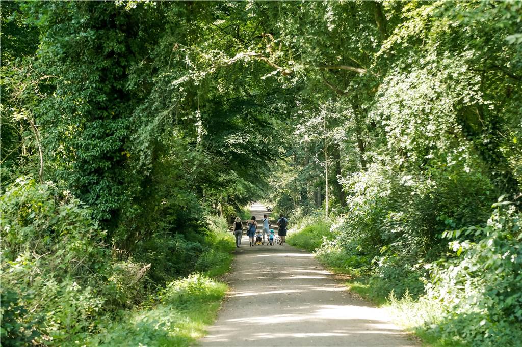 Die Wege im Rahmer Wald sind gut ausgebaut. Dort kann man prima spazieren gehen und Radfahren.