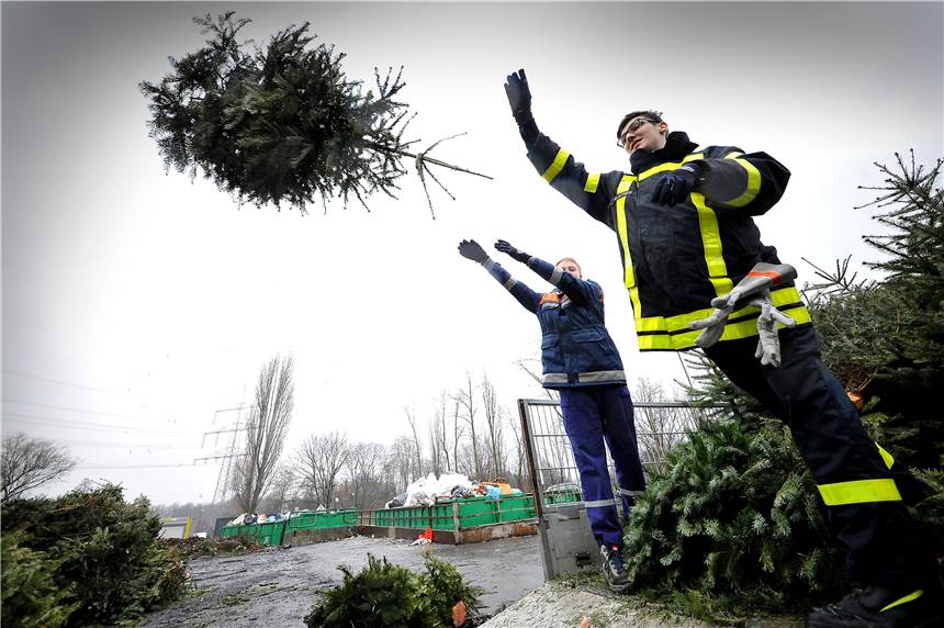Der EUV holt die Castrop-Rauxeler Weihnachtsbäume im Januar ab Die Weihnachtsbäume werden in Castrop-Rauxel Anfang Januar 2022 abgeholt.