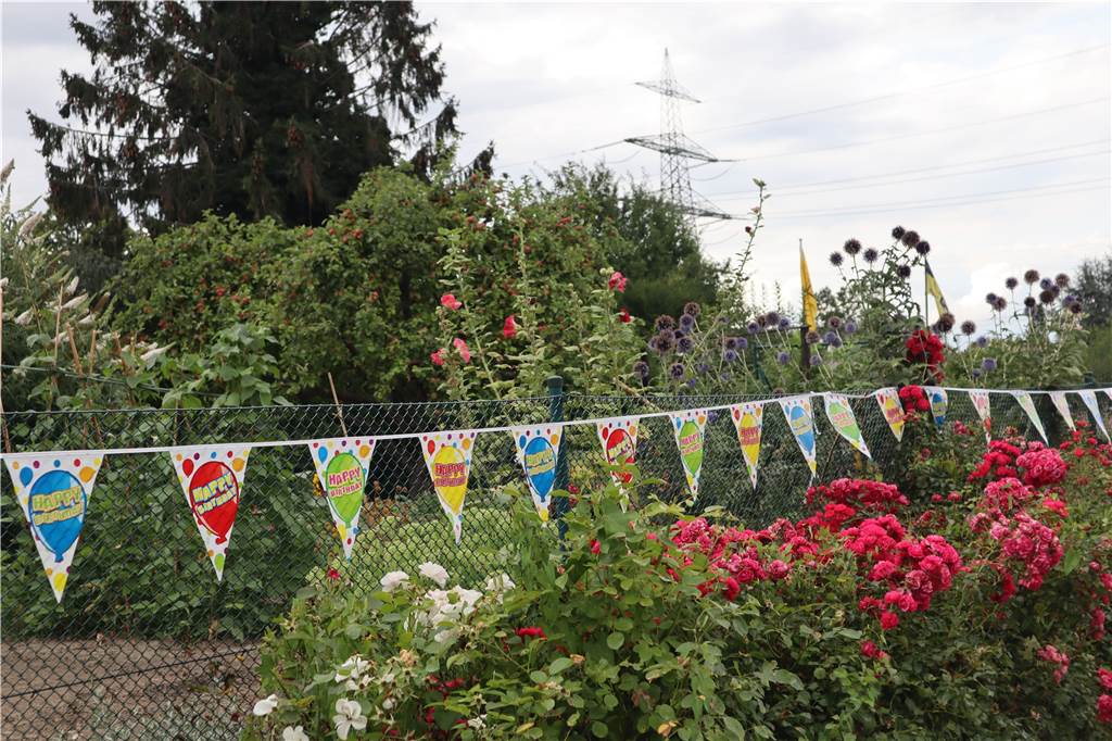 Jubiläum in kleinem Paradies hinter der Lärmschutzwand - mit Bienenvölkern und Yucca-Staude Die Wimpel für die Jubiläumsfeier an diesem Wochenende hängen schon. Der Gartenverein „Am alten Flughafen" ist 50 Jahre alt.