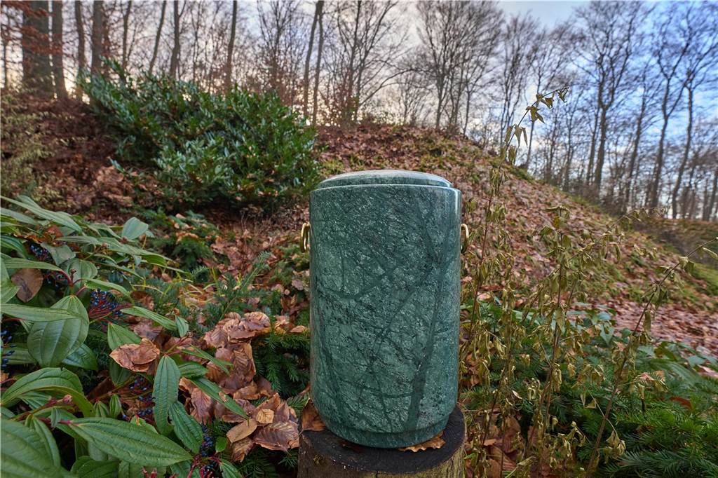 Stadt und Haus Sandfort planen Ruhewald: Bürgerversammlung steht an Die Zahl der Bestattungswälder in Deutschland - hier der Rheinhöhen-Ruhewald - nimmt immer mehr zu.