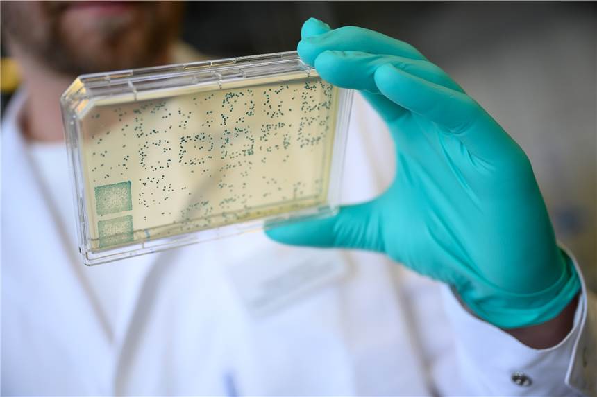 Zahl der Corona-Infektionen im Kreis Borken steigt innerhalb eines Tages um fast 30 Prozent Die Zahl der mit dem Coronavirus infizierten Personen steigt weiter.