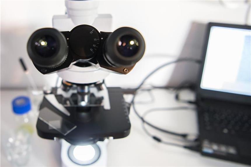Die Zahl wissenschaftlicher Veröffentlichungen in zweifelhaften Online-Fachzeitschriften hat in den vergangenen Jahren deutlich zugenommen. Foto: Wolfram Kastl/Symbolbild