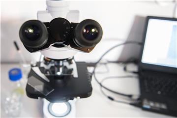 Die Zahl wissenschaftlicher Veröffentlichungen in zweifelhaften Online-Fachzeitschriften hat in den vergangenen Jahren deutlich zugenommen. Foto: Wolfram Kastl/Symbolbild