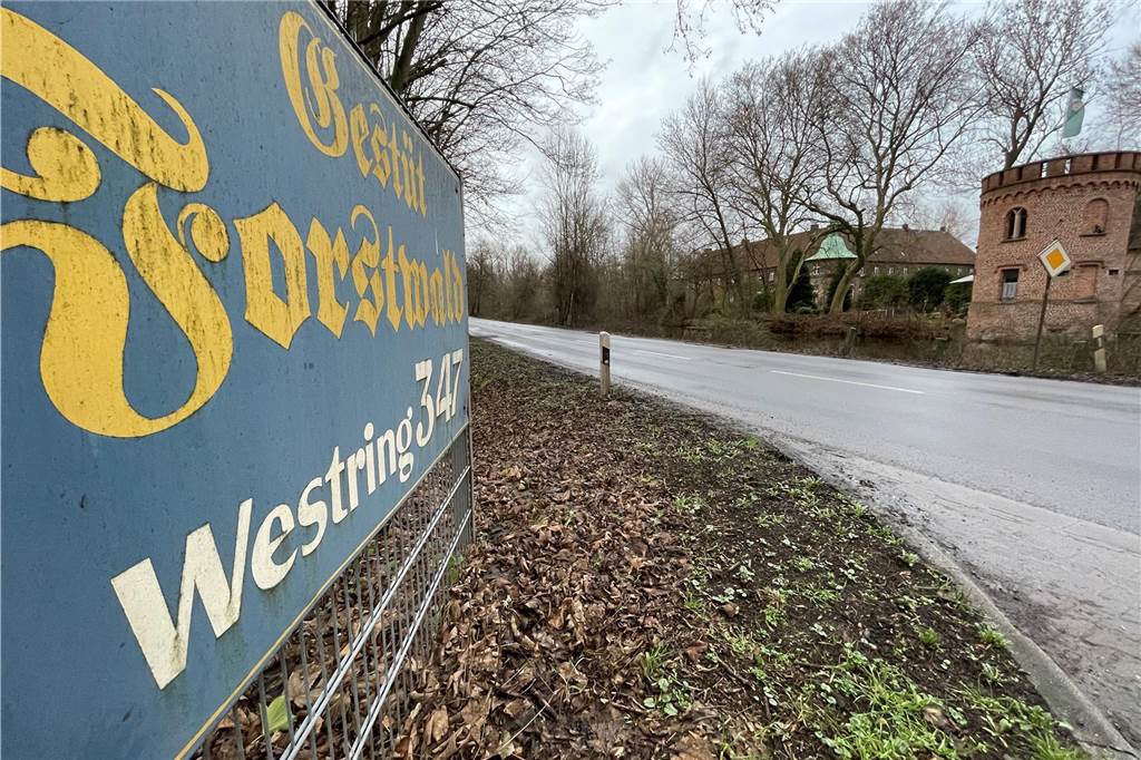 Gestüt Forstwald: Auf der Anlage in Bladenhorst leben 100 Pferde Die Zufahrt zum Gestüt Forstwald liegt direkt gegenüber vom Schloss Bladenhorst am Westring.