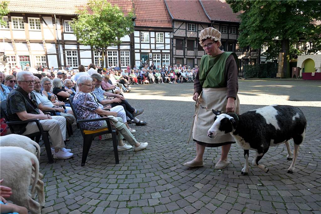 Stadtspiel: Schauspieler zeigen Rettung der Stadt in gelungenem Spektakel Frau mit Ziege, Publikum.