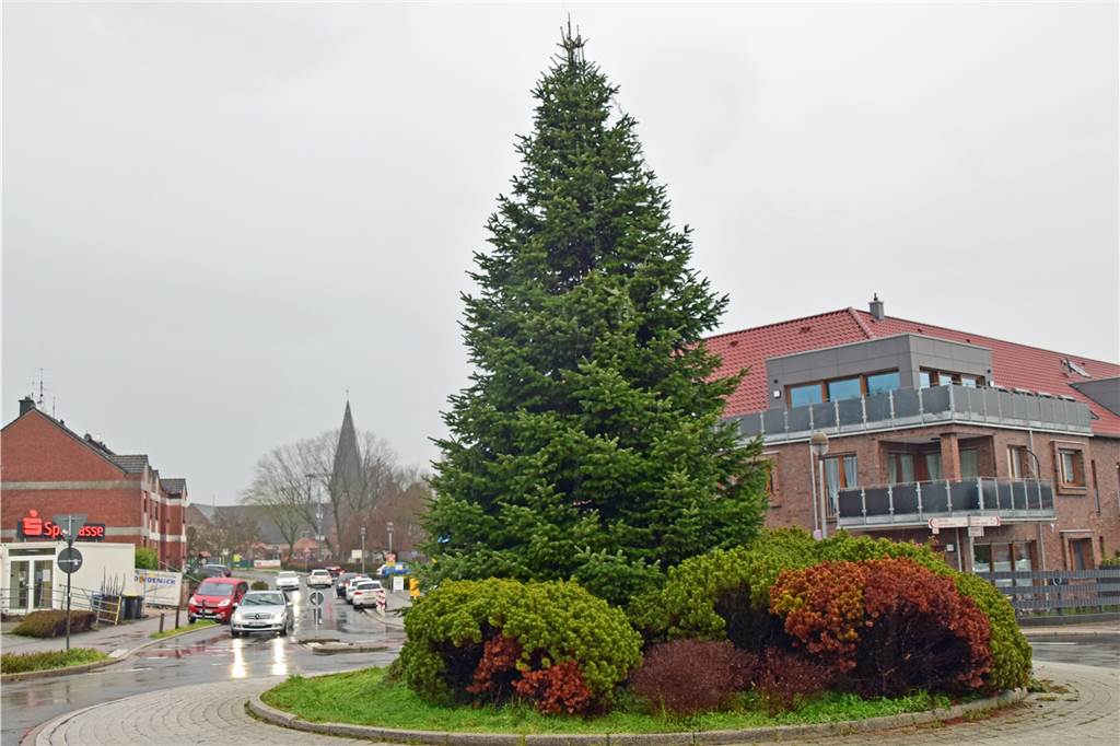 Kreisverkehr Sythen: Sturm stürzt Halterns schönsten Weihnachtsbaum um Weihnachtsbaum am Kreisverkehr Sythen