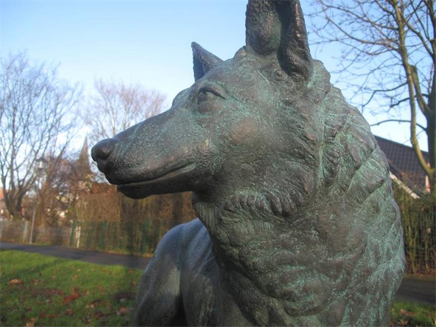Als der letzte Wolf Westfalens geschossen wurde Diese Bronzeskulptur - aufgestellt im Jahr 2013 - steht auch in Ascheberg-Herbern. Sie zeigt den Wolf eher als aufmerksames Tier denn als fleischfressende Bestie.