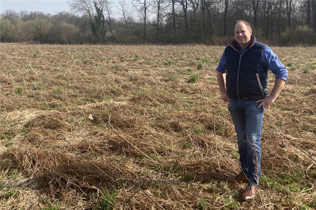 Mais oder Blühwiese: Landwirt Patrick Balster aus Selm sucht Blumenpaten „Diese Fläche war und ist reine Natur!“, sagt Patrick Balster. Sie bietet vielen Tieren Deckung vor ihren Fressfeinden.