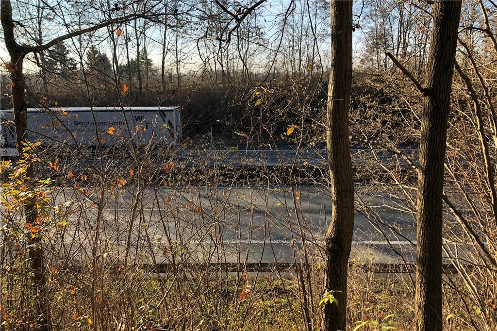 Brücke über B 236 in Dortmund: Pläne machen Schritt nach vorn Diesen Blick erhält man, wenn man sich durch das Gebüsch am Ende des Piepenbrinks hin zur B 236 kämpft