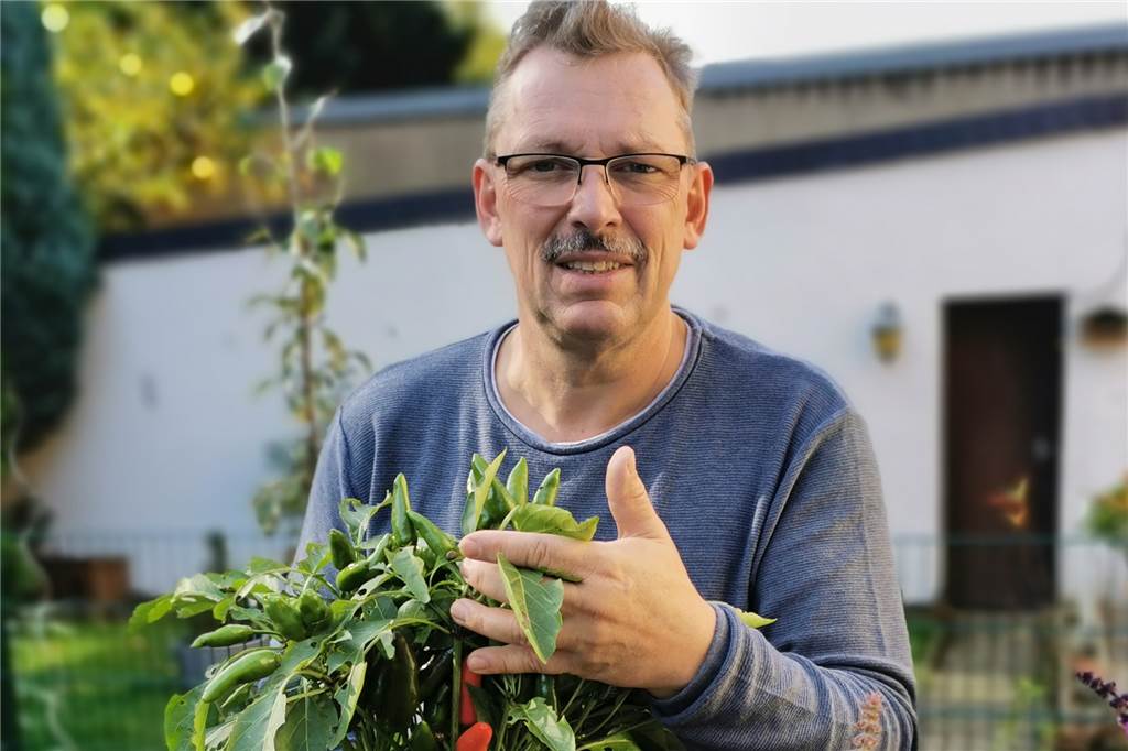 Diesen Chili kultiviert Stephan Bevs ganz normal in seinem Kleingarten. Im Winter stellt er die Pflanze ins Warme. Aber sonst braucht sie keinen besonderen Schutz eines Gewächshauses mehr.