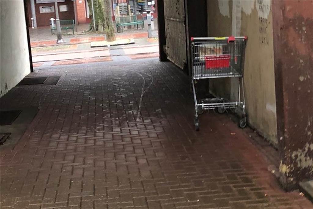 Eine Stadt verkommt zum Friedhof für herrenlose Einkaufswagen Diesen Einkaufswagen hat ein Kunde im Durchgang vom Nordberg-Center zur Präsidentenstraße stehen lassen.
