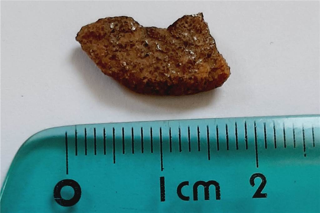 Hobbyastronom erklärt, wie ein Spaziergang zur Meteoritensuche wird Diesen Stein, der dann am Ende doch keiner war, hatte der neunjährige Stefan bei seiner Meteoritensuche gefunden.