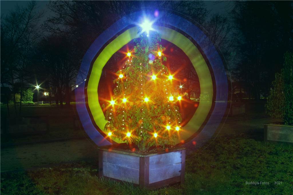 Mit Video: Hobby-Fotograf Christian Düsterhöft malt Bilder mit Taschenlampen Diesen Weihnachtsbaum hat Christian Düsterhöft zum Leuchten gebracht.