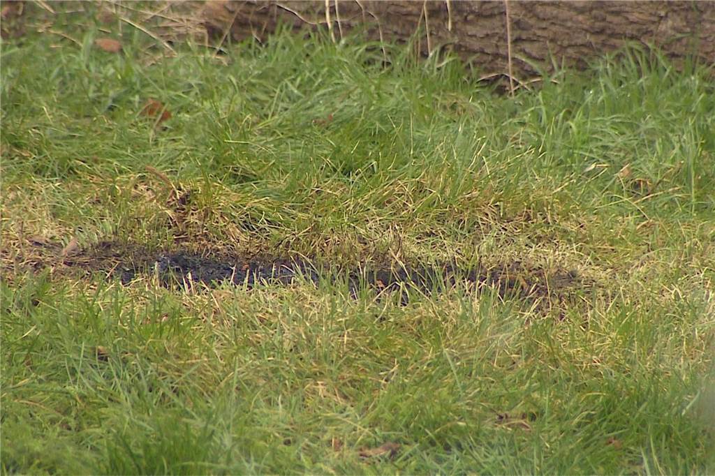 Polizei findet Sprengstoff in einem privaten Garten in Marten Dieser Brandfleck im Bereich der Sporttasche, die in einem Martener Garten gefunden wurde, gibt Rätsel auf und ist Teil der Ermittlungen.