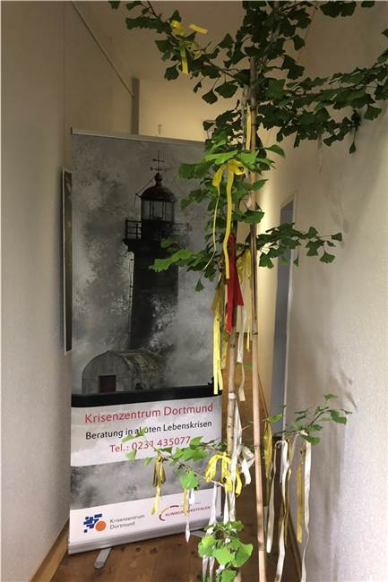 Das Stadewäldchen wird bald zum Ort der Begegnung für Hinterbliebene Dieser Ginko-Baum wird am 10. September gepflanzt.