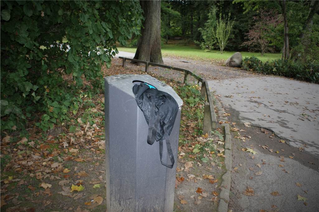 Vermüllt der Rombergpark? „Man muss nur etwas dagegen unternehmen“ Dieser Mülleimer ist einer der wenigen, die bei einem Parkbesuch überfüllt aussahen.