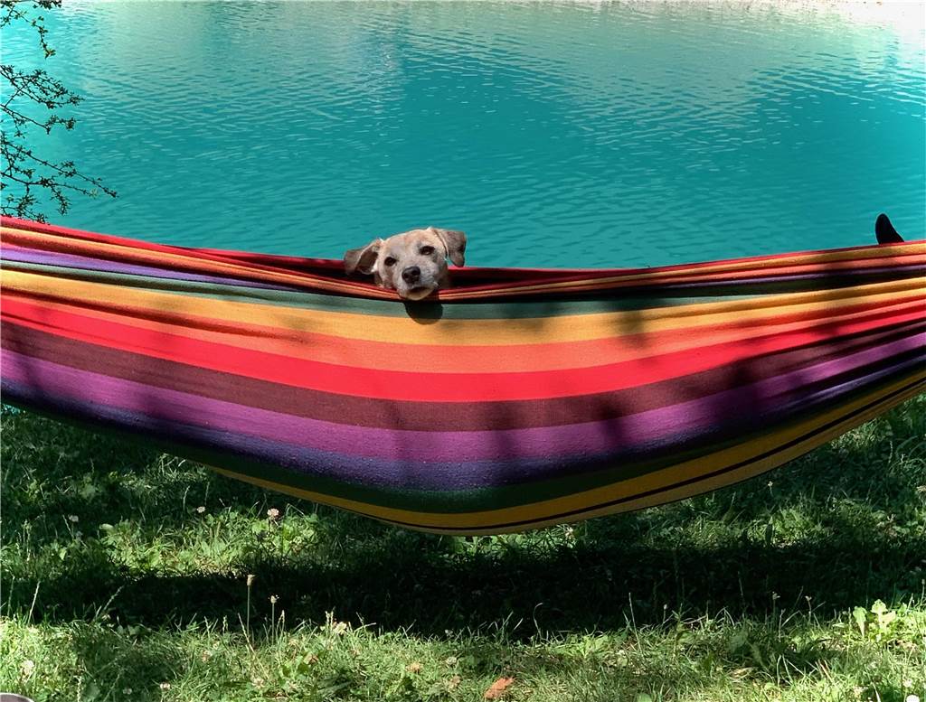 Dieser Schnappschuss im Italien-Urlaub ist Diana Marckhoff von ihrem Hund gelungen.