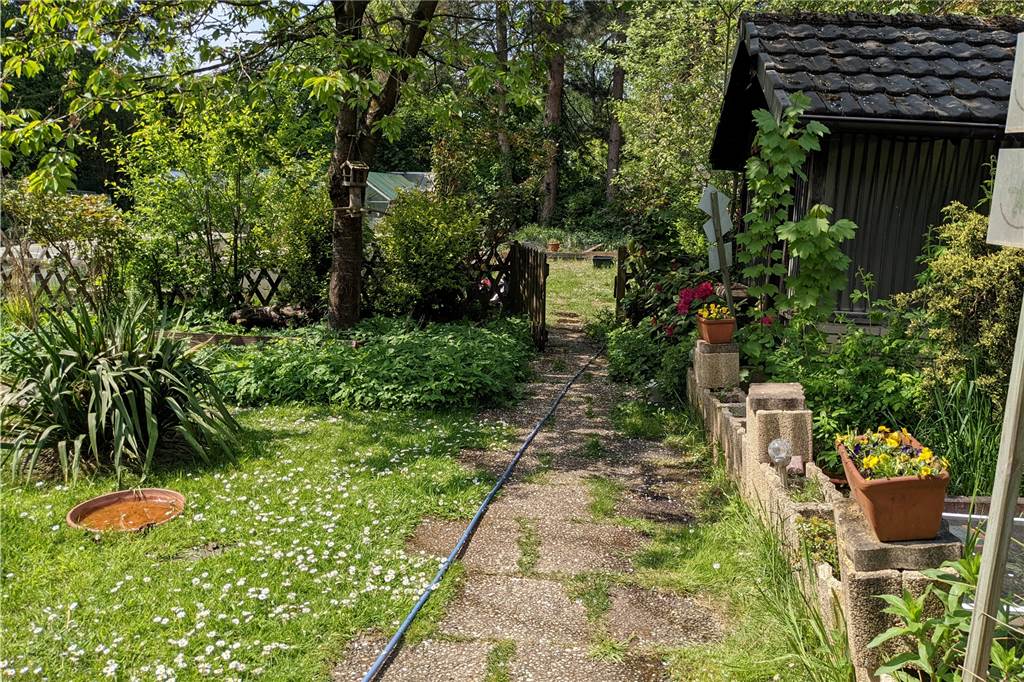 Grundstück dringend gesucht - Schildkrötenauffangstation vor dem Aus Blick aufs Grundstück