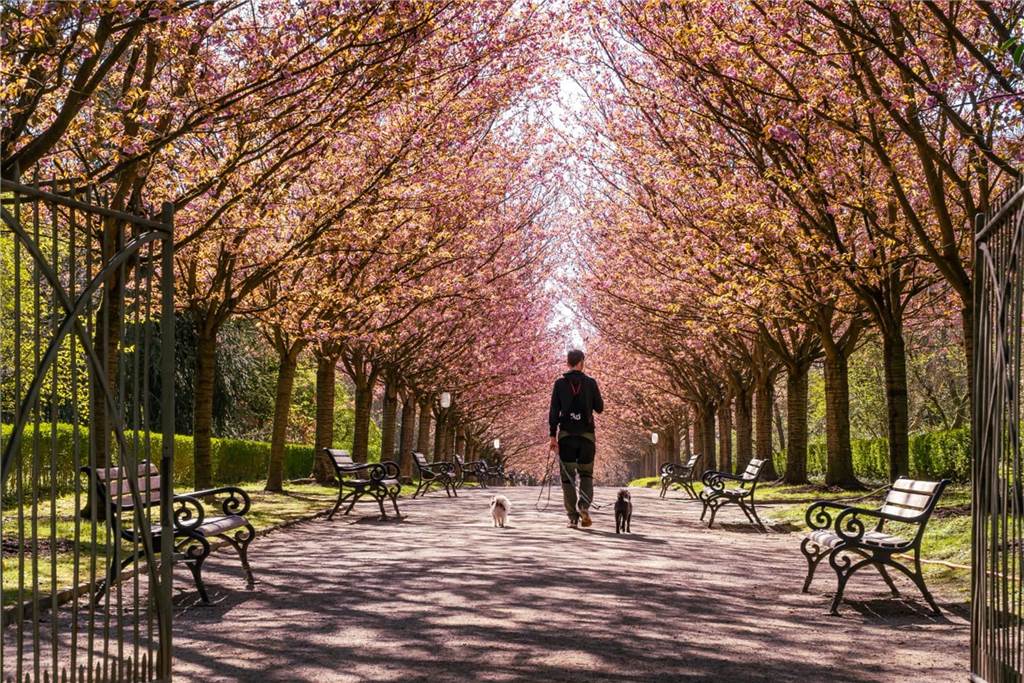 Dieses Foto hat Michael Ziller im Rombergpark aufgenommen.