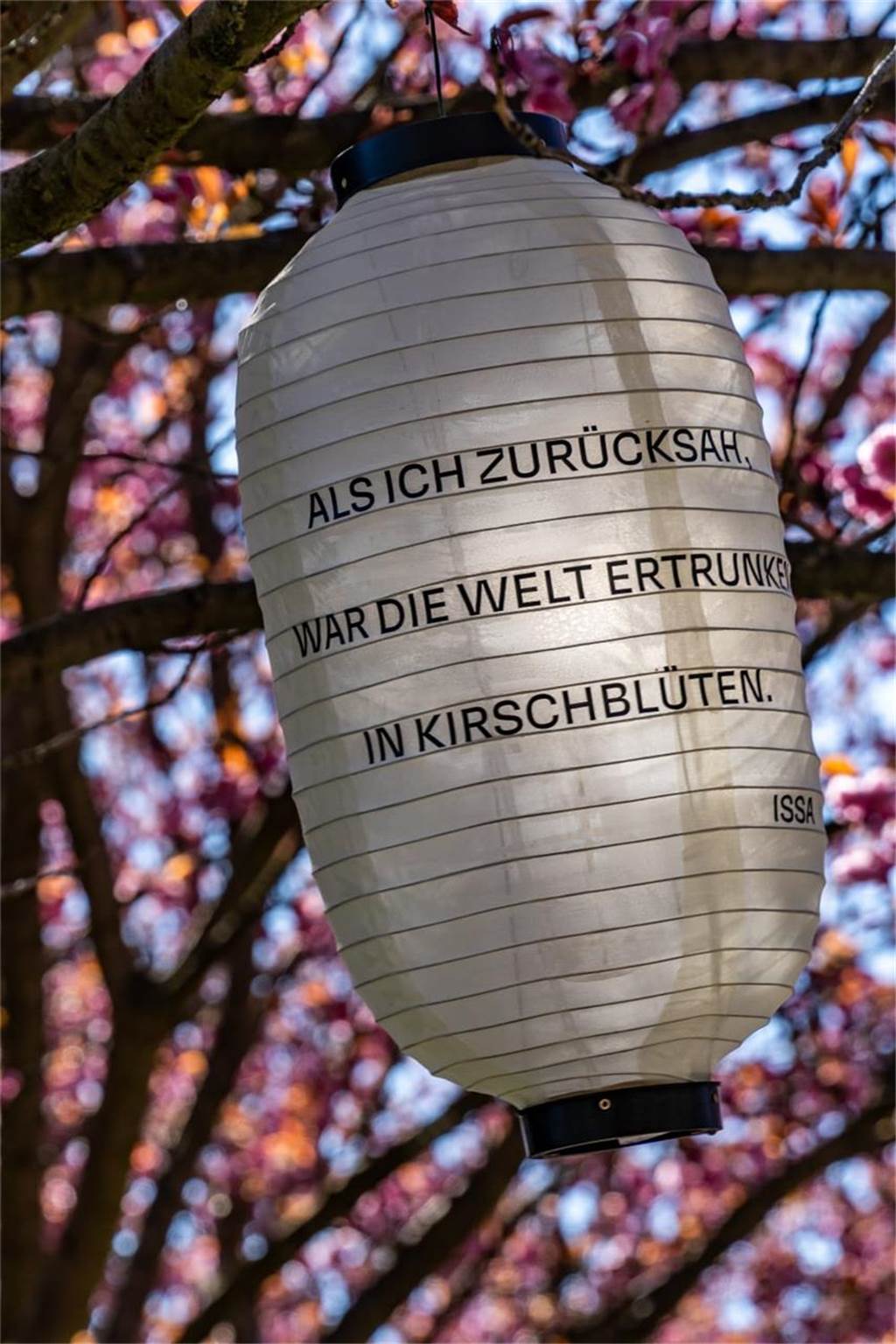 Dieses Foto hat Michael Ziller im Rombergpark aufgenommen.