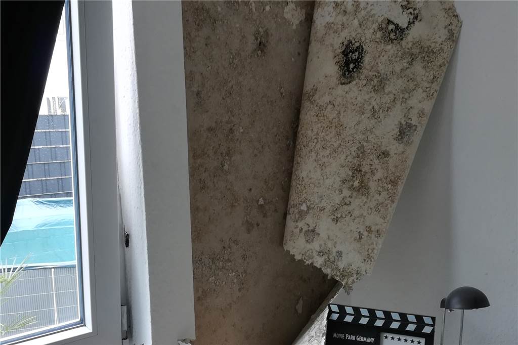 Junge Familie will nur noch weg: Traumwohnung wird zum Alptraum Dieses Foto machte die Familie im Zimmer des Sohnes: Hinter der Tapete fand sich Schimmel.