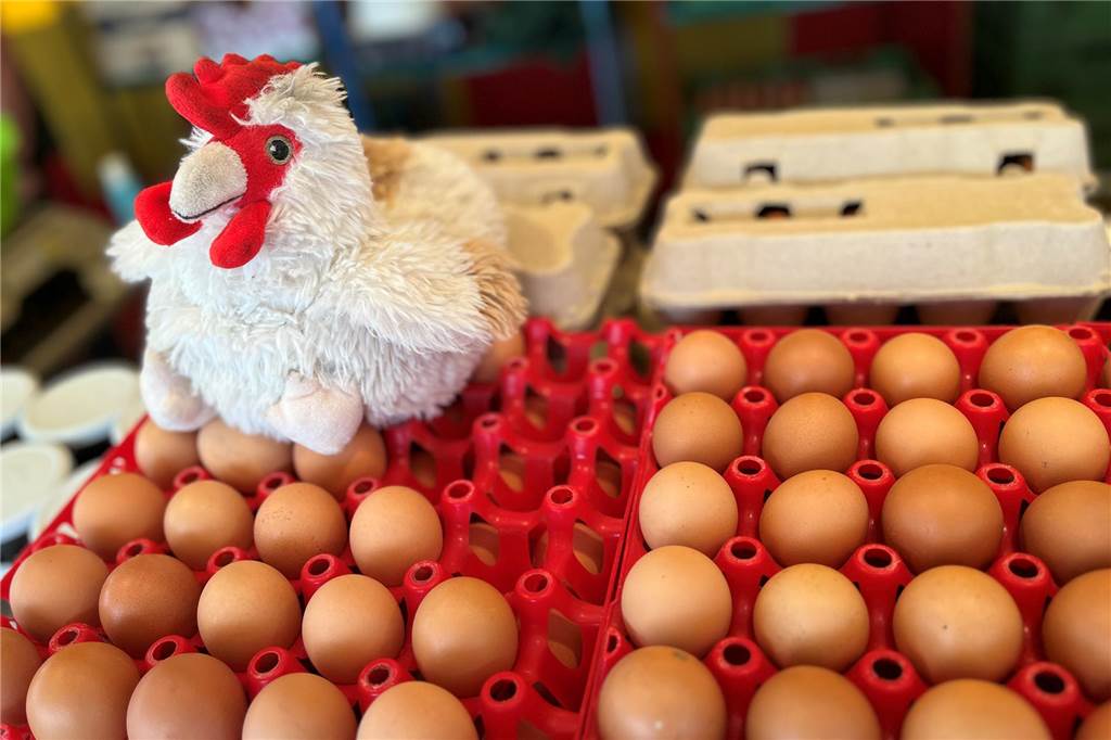 Am Stand von Hof Kraienhemke wartet ein besonderes Maskottchen Dieses Plüsch-Huhn "bewacht" die Eier am Marktstand.