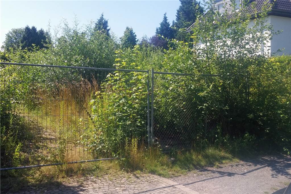 Achtung: Von diesen drei Gammelhäusern könnte echte Gefahr ausgehen Dieses verwilderte Grundstück befindet sich am Stadtgarten in der Sackgasse zur Schillerstraße.