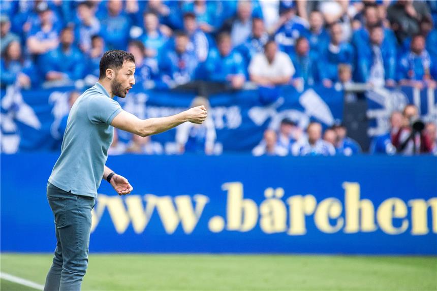 Schalke will die Champions League perfekt machen Domenico Tedesco will mit Schalke möglichst schnell die Champions League klarmachen.