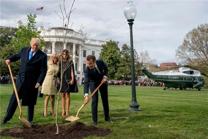 Warum Macrons Baum-Geschenk verschwunden musste Donald Trump und Emmanuel Macron beim Einpflanzen der Eiche, die Macron als Geschenk zu seinem Besuch in Washington aus Frankreich mitgebracht hatte. Foto: Andrew Harnik/AP