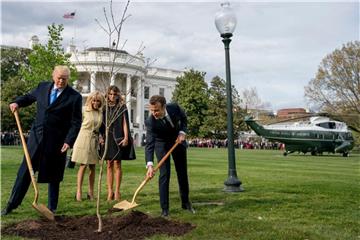 Donald Trump und Emmanuel Macron beim Einpflanzen der Eiche, die Macron als Geschenk zu seinem Besuch in Washington aus Frankreich mitgebracht hatte. Foto: Andrew Harnik/AP