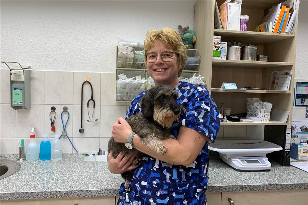 Hohe Tierarztkosten macht auch Dorstener Tierheim zu schaffen Dorothee Dickhöfer mit einem Dackel in ihrer Praxis.