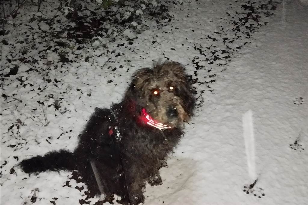 Wintereinbruch in Dorsten: Die schönsten Schnee-Fotos unserer Leser Dorsten ist verschneit.
