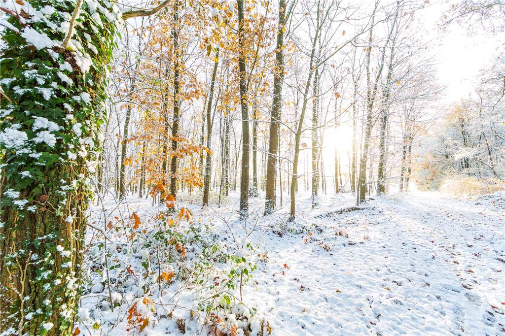 Wintereinbruch in Dorsten: Die schönsten Schnee-Fotos unserer Leser Dorsten ist verschneit.
