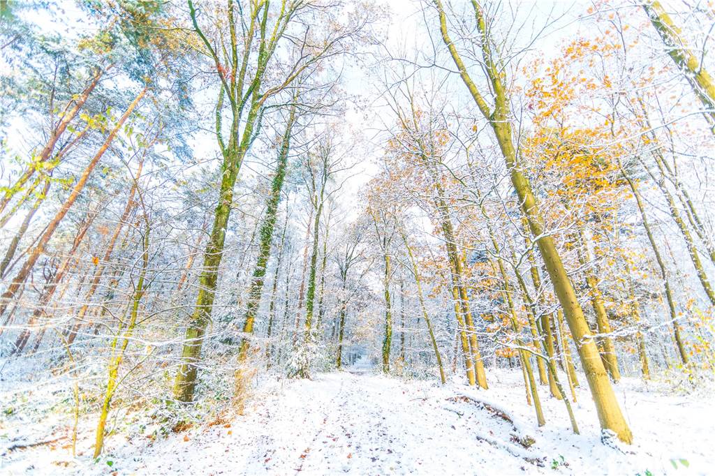 Wintereinbruch in Dorsten: Die schönsten Schnee-Fotos unserer Leser Dorsten ist verschneit.